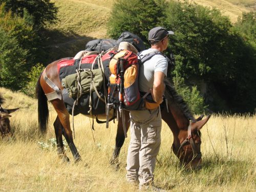 trekking con i muli-18.JPG
